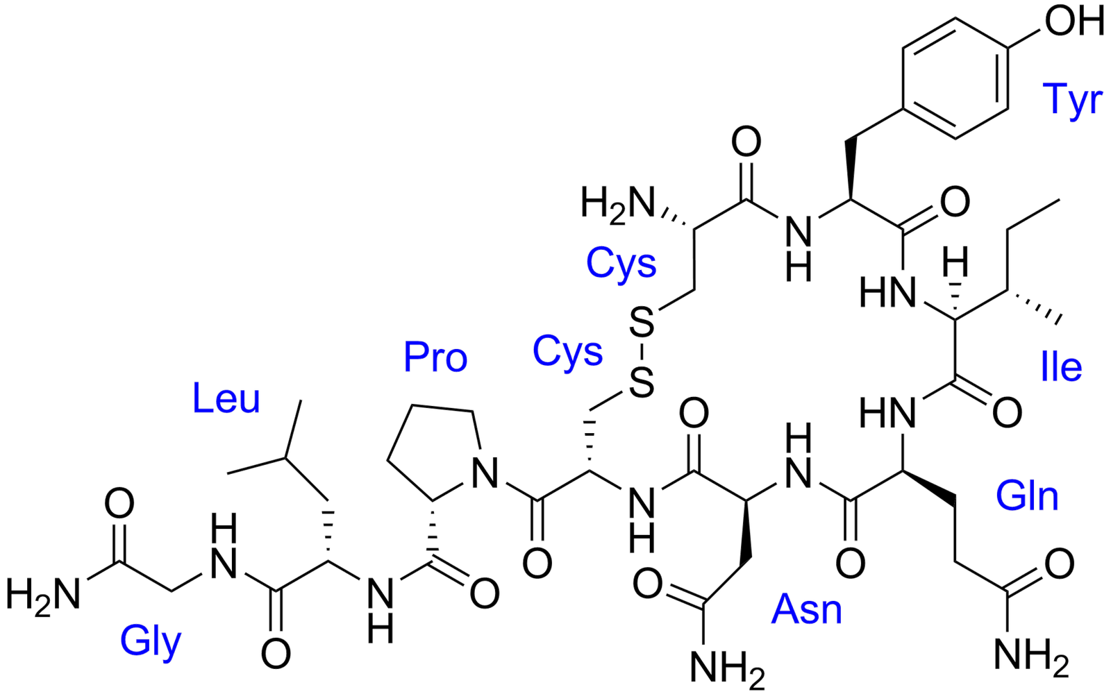 Oxytocin